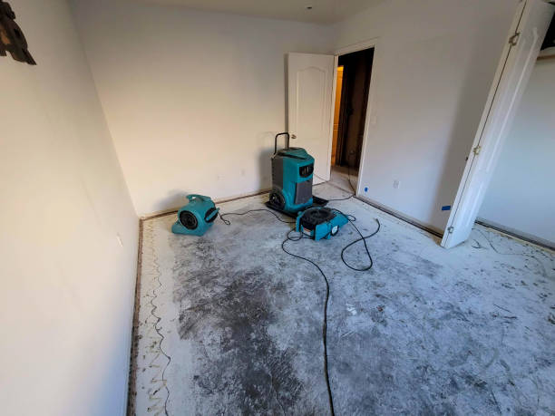 Best Water damage contractors near me  in Troy Hills, NJ