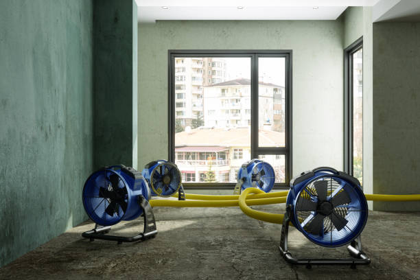 Best Water damage restoration services  in Troy Hills, NJ